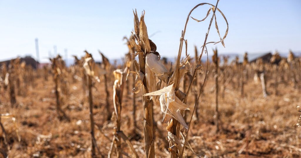 240817 southern africa drought ch 0944 93b7f9