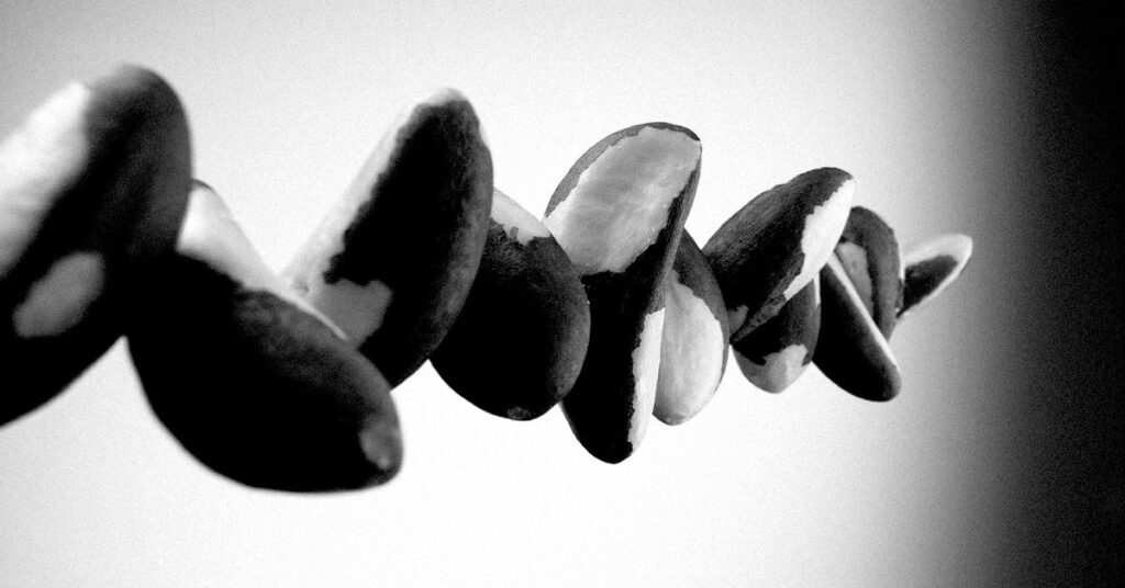 brazil nuts composition 1200 628 facebook