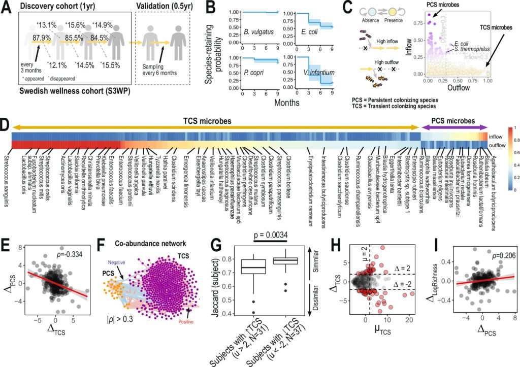 transient gut bacteria