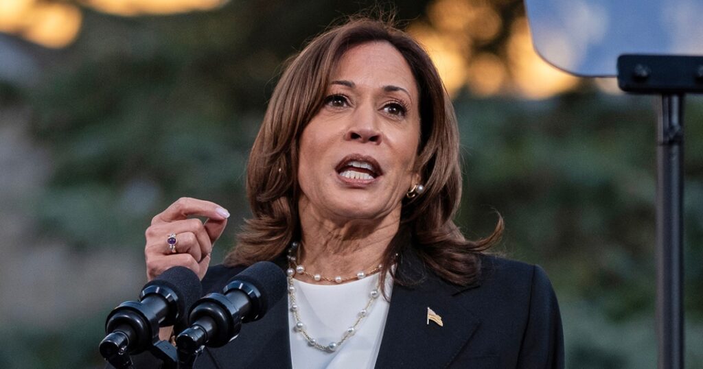 241004 Kamala Harris aa 313p 8d02d4