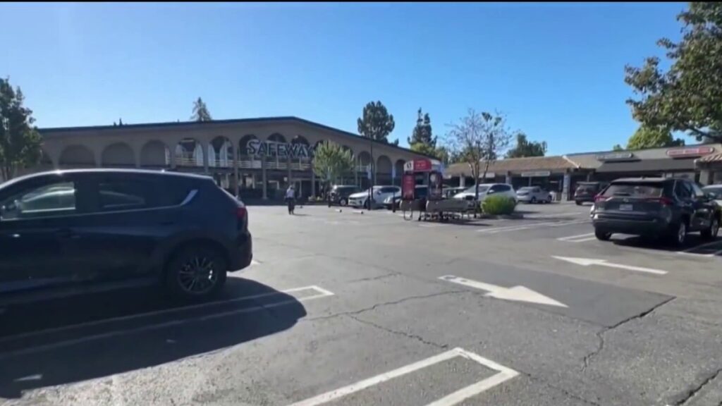 Dozens of people storm shopping plaza in San Joses Willow Glen neighborhood