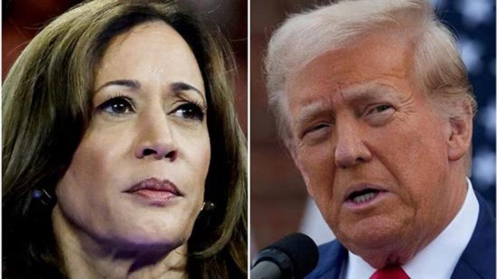 Kamala Harris and Donald Trump 1729408606600