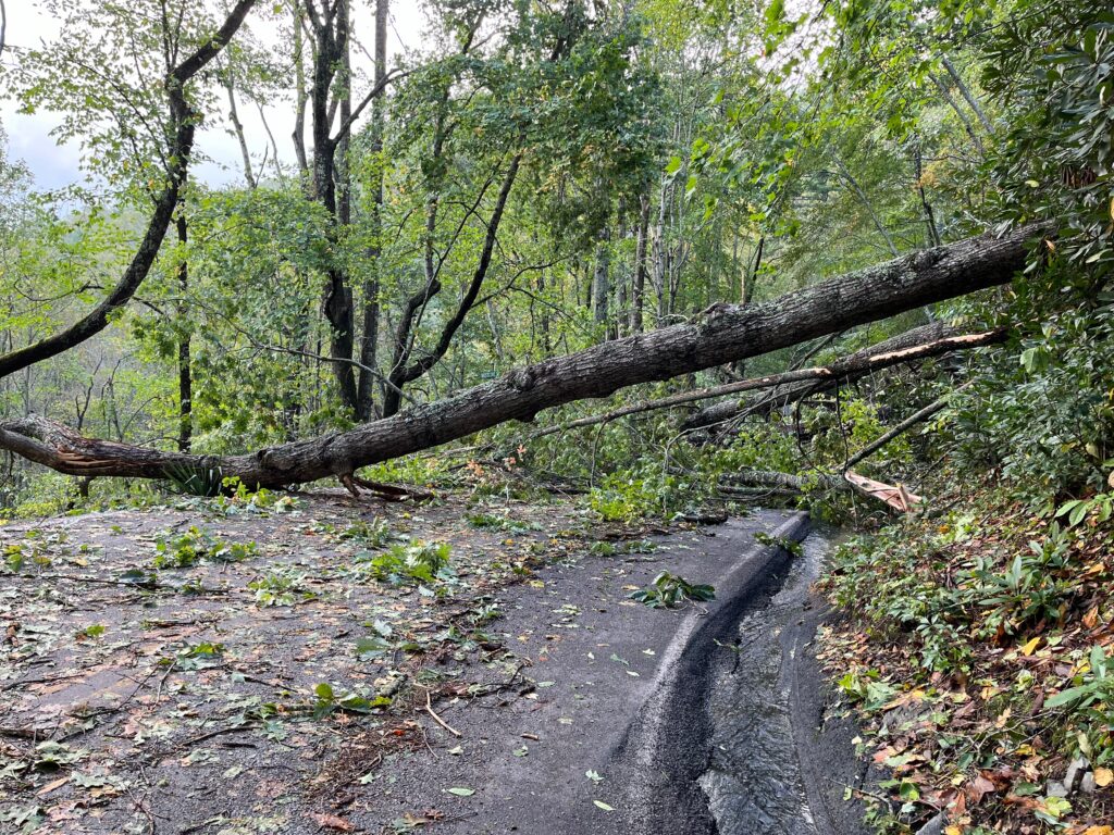 downed trees in Boone NC after Hurricane Helene 2024.jpg.img