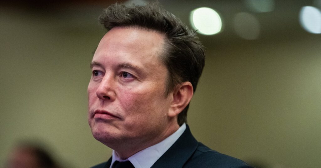 241114 elon musk se 218p 918829