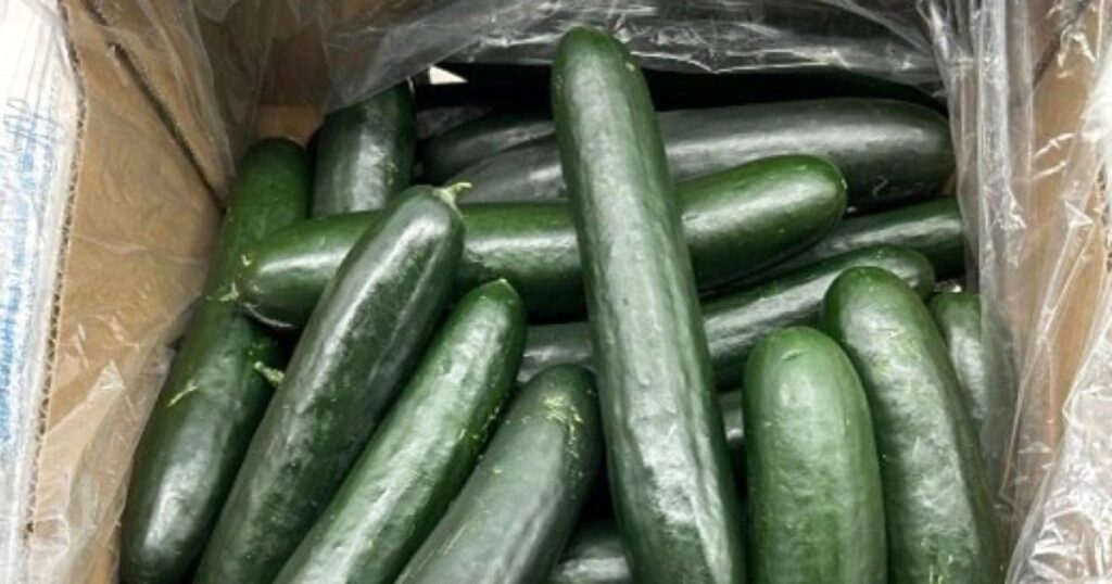 241129 cucumbers recall ac 224p 3f992c