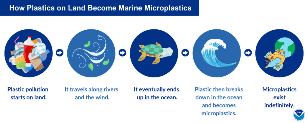 HOW20PLASTIC20ON20LAND20BECOME20MICROPLASTICS