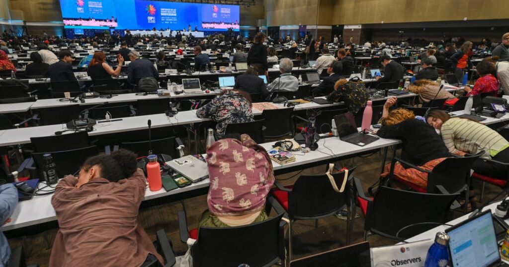 cop16 sleepy delegates scaled