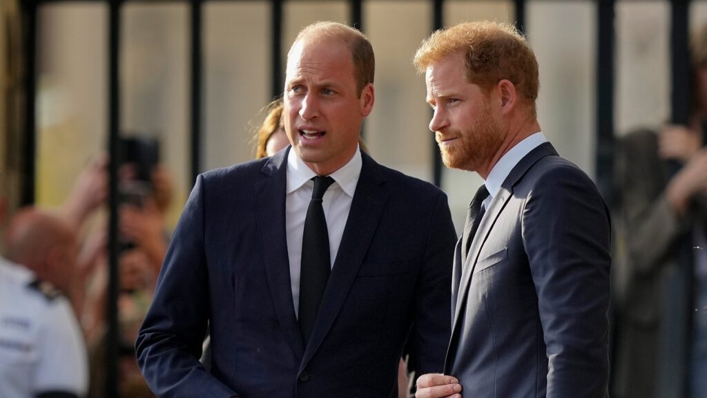 Britain Royals William and Harry 2 1707361142027 1733126781254