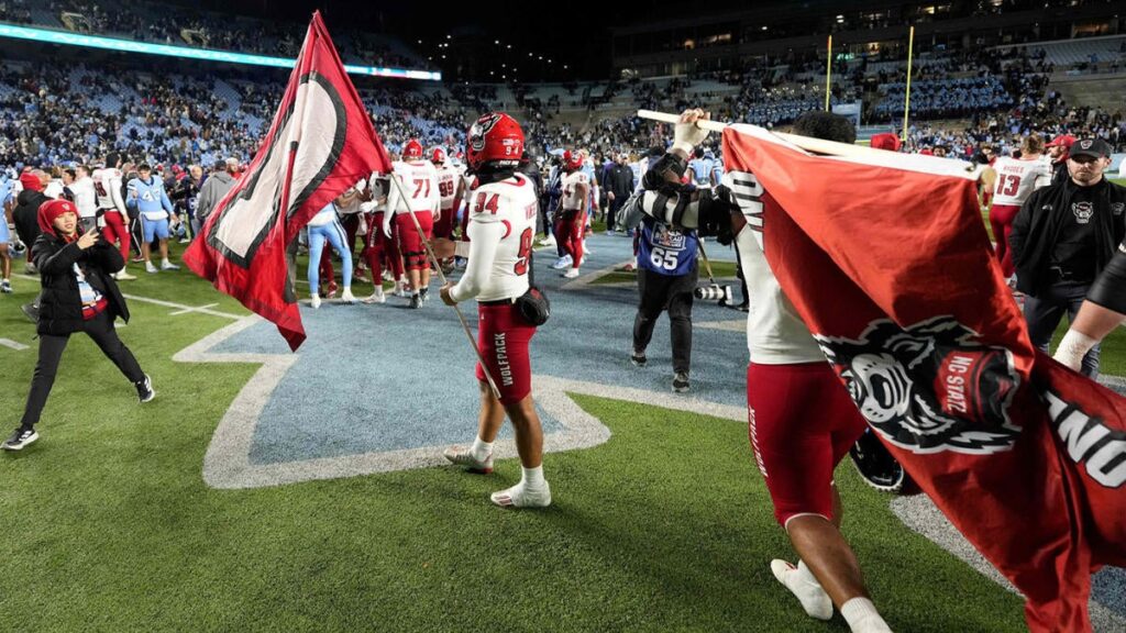 nc state flag usatsi