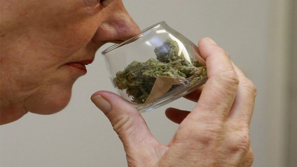 marijuana ap photo ohio 1207