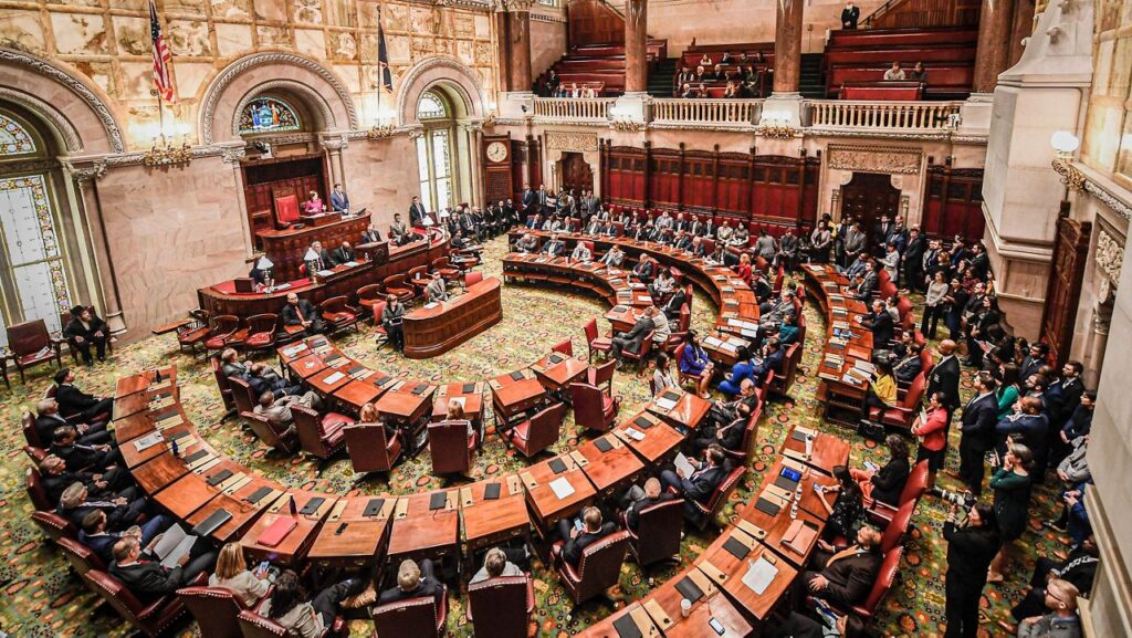 new york senate AP24057787806470