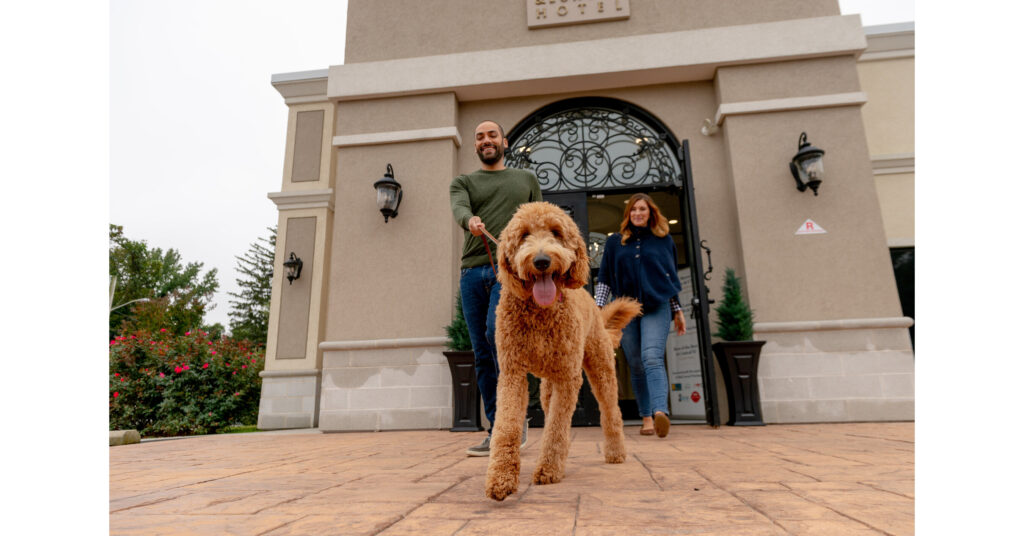 K9 Resorts Luxury Pet Hotel